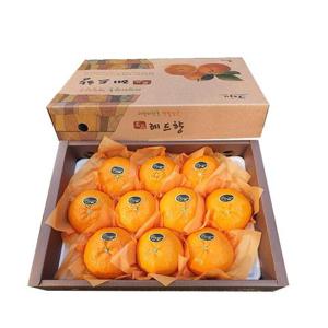 제주 서귀포 레드향 3kg 선물용