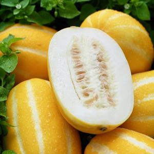 [다미] 달콤한 성주 꿀참외 정품 대과 3kg (6~9과)