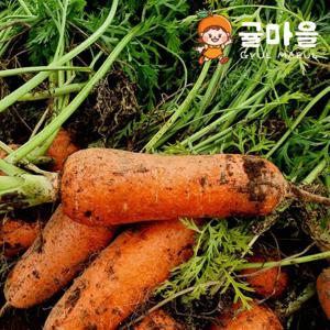 제주도 구좌 당근 특 10kg