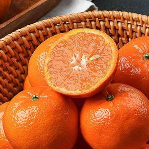 신선한 고당도 만다린귤 5kg (개당90g-120g)