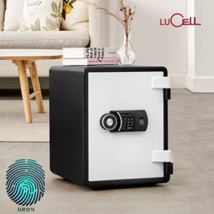 선일금고 YES-031DF 지문인식 가정 사무용 내화금고