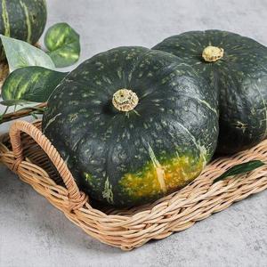 국내산 단호박 5kg