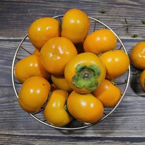 저탄소 지리산 호랑이 줄단감 10kg(65과)