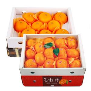 [과일예찬] 천혜향/레드향 묶음세트(천혜향3kg/15과내+레드향3kg/15과내)