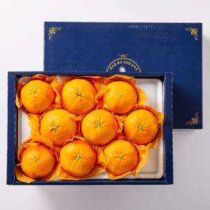 제주 레드향 3kg(중대 7-15과) 선물용