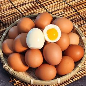 보드레 촉촉한 반숙란 60구(2판)