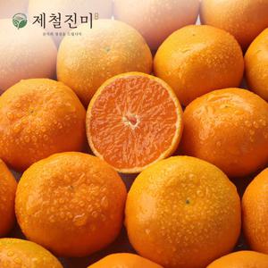 제철진미 제주햇귤 노지감귤 중대과 3kg (L-2L)