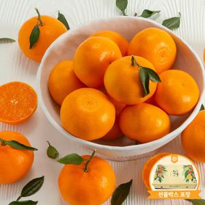 [선물포장] 새콤달콤 향긋한 천혜향 선물세트 3kg (8~15과내외)