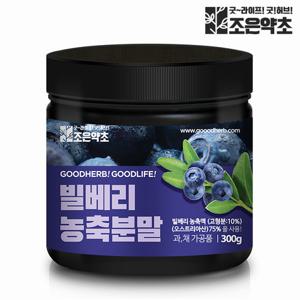 [조은약초] 빌베리 농축 분말 300g x 1통(총 300g)