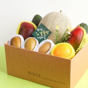 [델리후르츠] 프리미엄 과일선물세트 3호 (메론,만감,애플,아보,키위)
