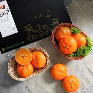 [애월농협] 제주 레드향 선물세트 5kg (20입 내외) 부직포 포장