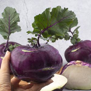 국내산 아삭 달콤한 햇 콜라비 가정용 : 10kg