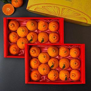 [보자기포장]제주 한라봉 2.6kg x 2박스(총28과내외) 과일선물세트