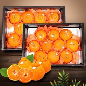 [수출하는제주과일]제프런 한라봉+천혜향혼합(각 3kg,각 9-12과)