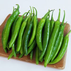 [올즈마켓]짜릿한 매콤함 국내산 청양고추 상 1kg