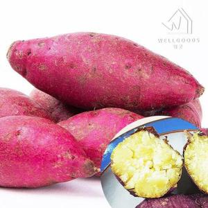 갤러리아_[웰굿] 퍽퍽한 진율미 밤고구마 3kg(한입,개당20-50g)