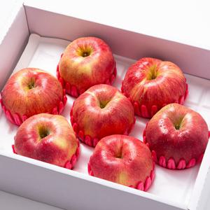 [더조은] 정성가득 빨간사과 프리미엄 선물세트 3kg / 7-8과