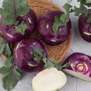 제철 제주산 콜라비 5kg (5~8수)