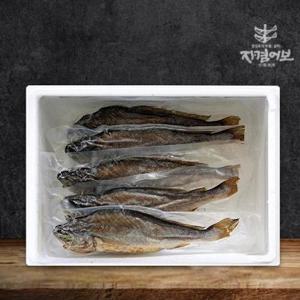 [자겸어보]영광법성포 간편 찐보리굴비(부세)5미 30cm내외