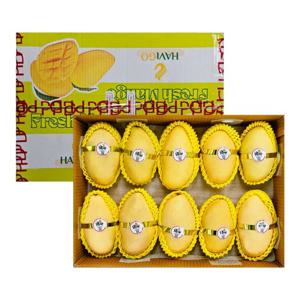 항공직송 베트남 께오 골드망고 4kg (12-14과)