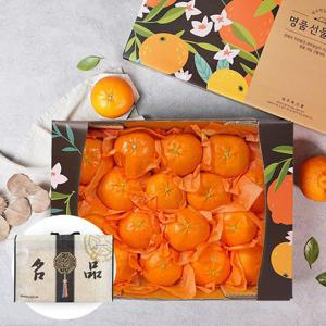 [부직포가방포장] 제주 레드향 2.6kg 15-18과 과일선물세트