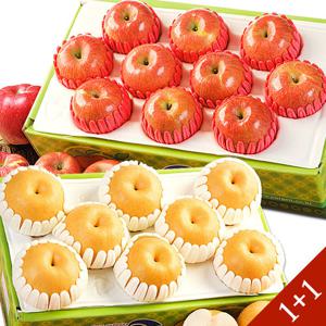 [푸르젠 1+1실속선물세트] 배 5kg(7~9과) 사과 3kg(10~12과)/예약