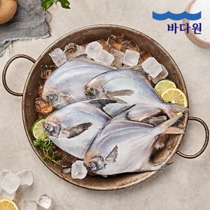 [생선명가] 국내산 은병어 300g x 10팩 (팩당 2미)