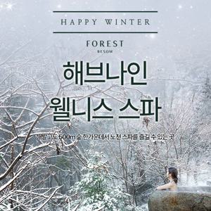 제천 포레스트 리솜 해브나인 스파 (12/20~3/2)