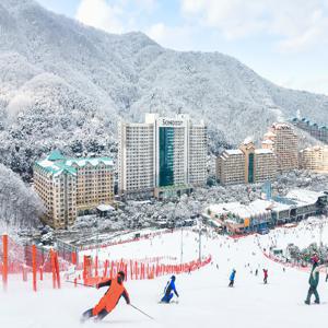 [슈퍼트립] 25/26 홍천 비발디파크 스키 리프트/장비렌탈 PKG/스노위랜드/오션월드 택1 구매, 대인&소인 공통