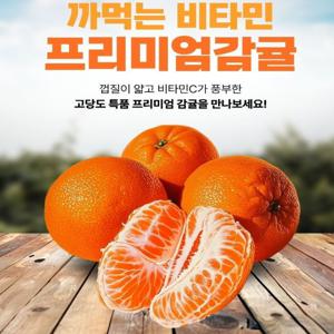[털보네]당도선별 고당도 타이벡 제주감귤 당일경매 초신선달콤주의보