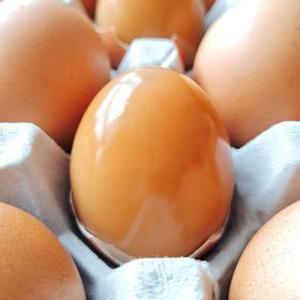 자은찬 탱글 구운란 구운계란 대란 30구