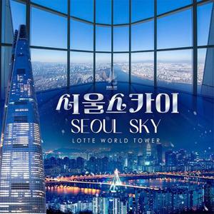 롯데월드타워 전망대 서울스카이 입장권