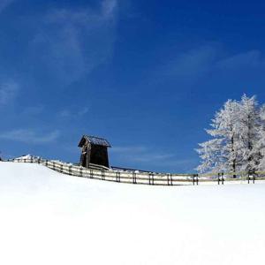 [당일여행] 평창 대관령 양떼목장, 월정사, 안목항커피거리 낭만 BIG3