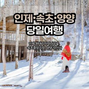 [당일여행] 인제, 속초, 양양 여행, 원대리자작나무숲/속초중앙시장/낙산사