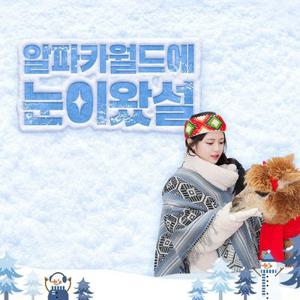 [홍천] 알파카월드 입장권(9/1~)