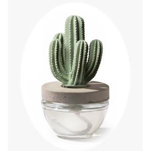 아로마코 선인장 석고 디퓨저 방향제 100ml