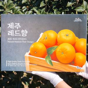제주 고당도 명품 레드향 가정용 선물용