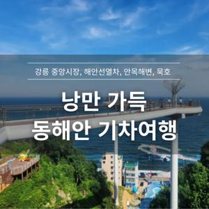 [당일여행] 강릉 해안선열차 기차여행, 동해~묵호/안목해변/동해 도째비골 스카이밸리/해랑전망대