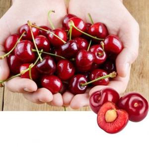칠레산 고당도 생 체리 300g/500g/1kg/5kg 대과 특대과