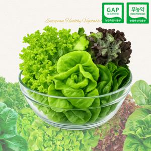[GAP인증] 당일수확 무농약 유러피안 채소 3~5종 믹스 1kg 스마트팜 재배 샐러드 쌈채소