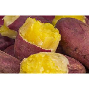 (상생페이백 ))코털네과일야채  달달구리 햇 밤고구마,호박고구마 5kg/10kg