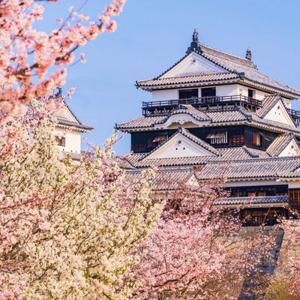 [슈퍼트립] 마쓰야마 자유여행 3일/4일,5大 대표 관광지 입장권제공 및 여행자보험 포함