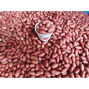 국산 볶은땅콩 1kg 2025년산 햇땅콩 주문 후 바로 볶아 발송