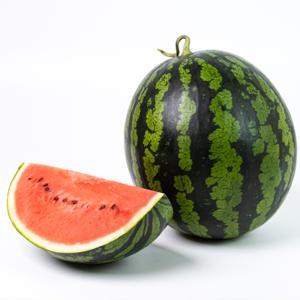 수박 고당도 하우스 꿀수박