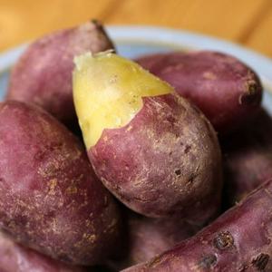 [산지직송] 해남 황토밭에서 자란 꿀밤고구마 3kg/5kg/10kg