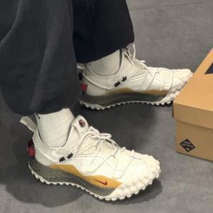 나이키 ACG 마운틴 플라이 로우 SE 고어텍스 GTX 트레일화 운동화 IQ9789-062