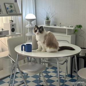 오프 원형 식탁 테이블 800/1000 2colors