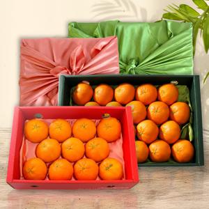 [청루원] 제주 3대농가 레드향 선물세트 중소과 1.5kg(8과내외)