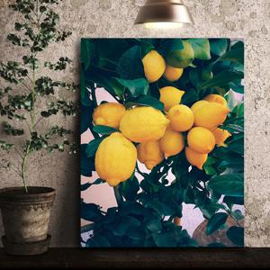 액자테이블 접이식 밥상 교자상 레몬트리 M/L