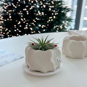 공기정화식물 무드팟 식물화분 제스모나이트 식물인테리어 소품